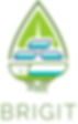 BRIGIT Logo no tagline.png